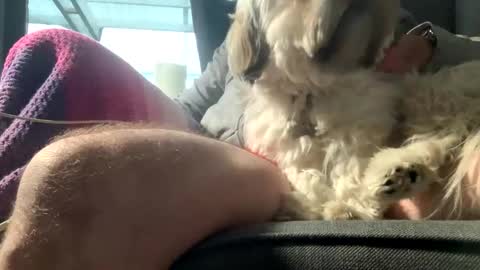 Snapshot of dkdad1966 chatting on 12.15.25 DKdad online show from 12.15.25