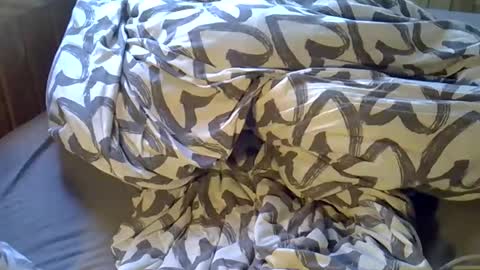 DKdad online show from 04.06.26