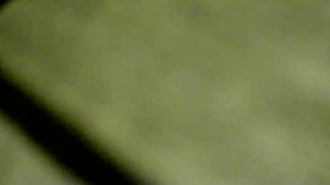 Doby online show from 04.08.26