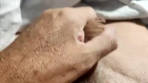 Snapshot of dockydick chatting on 10.14.25 dockydick online show from 10.14.25