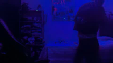 Dogboi online show from 06.25.26