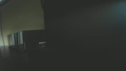 Snapshot of doggyboydon chatting on 01.04.25 Lucas online show from 01.04.25