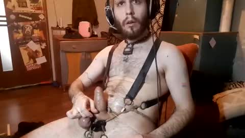 dogwithamohawk online show from 02.07.25