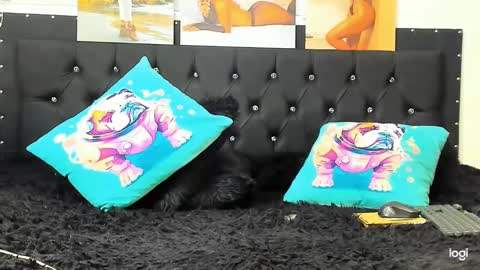 C E L E S T E  online show from 12.22.24