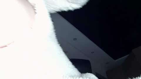 Snapshot of dolly_sun chatting on 12.20.24 ILONA online show from 12.20.24