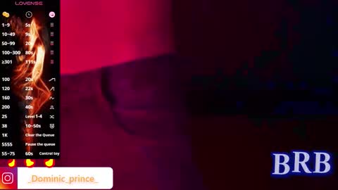 DOMINIC PRINCE   online show from 11.22.25