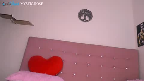 Snapshot of dominika_angel chatting on 12.28.24 online show from 12.28.24