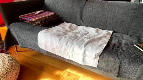 Alfredo online show from 12.04.25