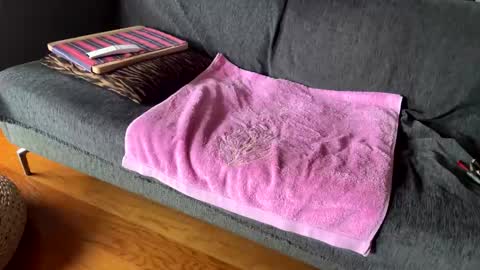 Alfredo online show from 02.13.26