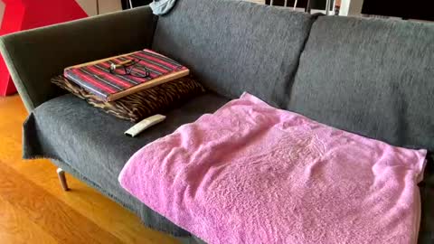 Alfredo online show from 04.07.26