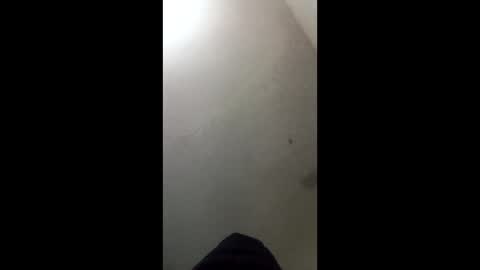 Snapshot of donkeykong34418301 chatting on 03.03.26 donkeykong34418301 online show from 03.03.26