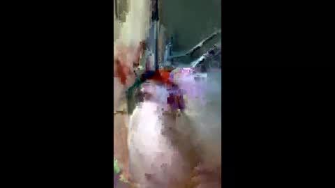 Snapshot of doogie215 chatting on 03.03.26 doogie215 online show from 03.03.26