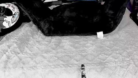 DOOM online show from 03.04.25