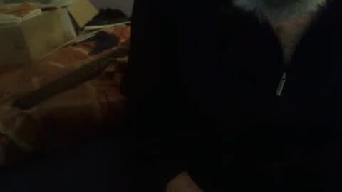 Hello  welcome to Slutsville  I am the Naked Chef  really  but you may call me Peter online show from 02.10.26