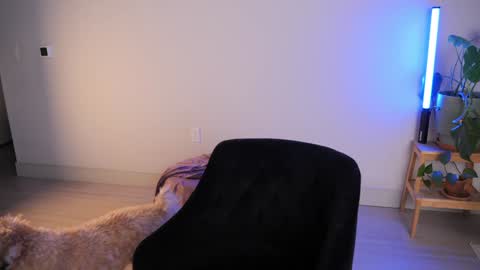 Sara online show from 10.18.25