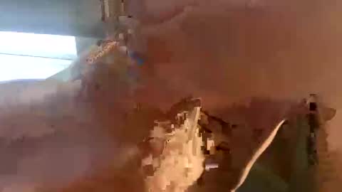 doug_funnie online show from 04.06.26