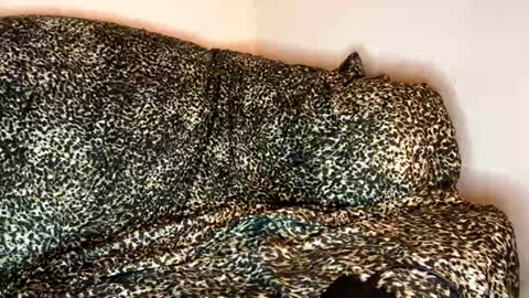 dove_love22 online show from 11.10.25