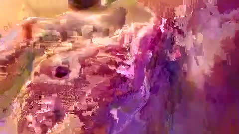 down2fuckyobitch online show from 09.19.25