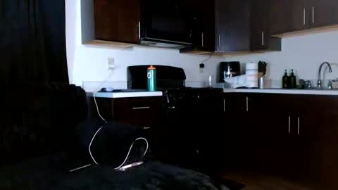 Snapshot of drayanicole1 chatting on 02.05.26 Draya Nicole online show from 02.05.26