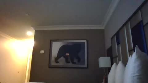 Snapshot of dreadedchefloxxx chatting on 03.03.25 DreadedChefLoXXX online show from 03.03.25