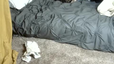 Dreadedted online show from 02.13.26