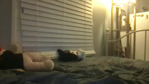 ur dream girl online show from 01.12.25