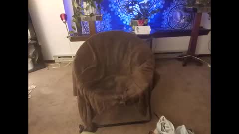 Snapshot of dribblez420 chatting on 10.26.25 dribblez420 online show from 10.26.25