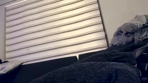 Snapshot of drippinggenie chatting on 12.26.24 drippinggenie online show from 12.26.24