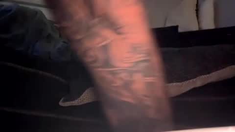 Snapshot of drippinggenie chatting on 01.03.25 drippinggenie online show from 01.03.25