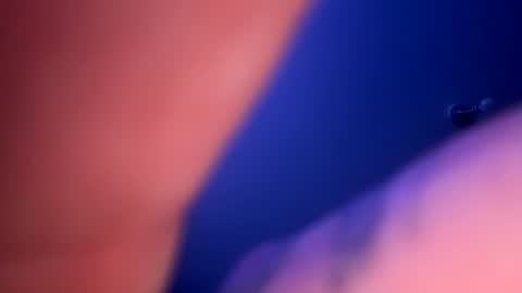 Snapshot of drippinggenie chatting on 01.23.25 drippinggenie online show from 01.23.25