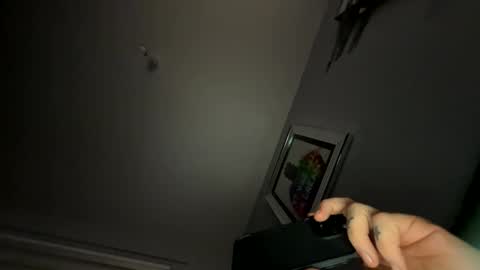 Snapshot of drippinggenie chatting on 01.29.25 drippinggenie online show from 01.29.25