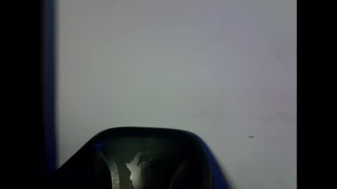 drippingpussy_ online show from 10.14.25