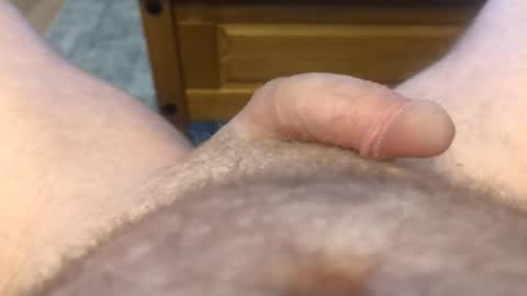 drippingrabbit online show from 04.08.26