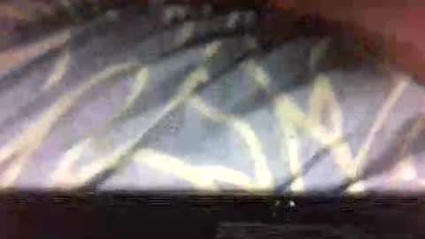 drippydickboy online show from 11.08.25