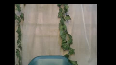 linda online show from 10.16.25