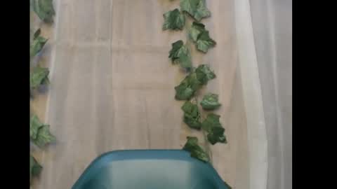 linda online show from 12.21.25