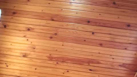 Booored online show from 04.30.26