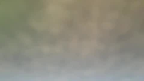 StraightStroker online show from 12.21.24