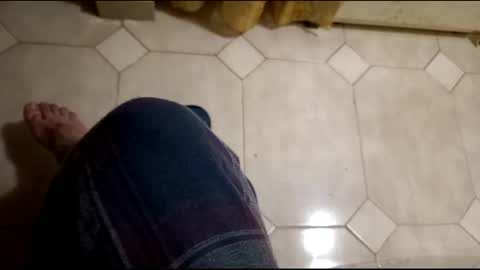 dthedog12 online show from 03.09.25