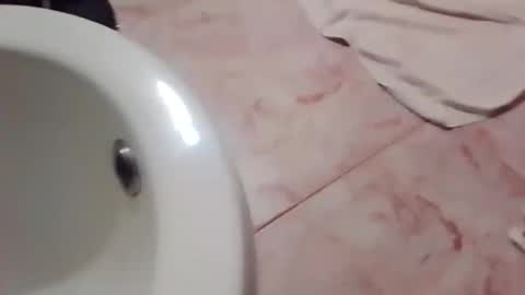 dthedog12 online show from 11.21.25