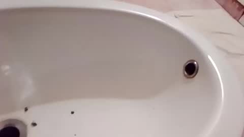 dthedog12 online show from 01.10.26