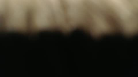 swiss kiss online show from 03.01.25