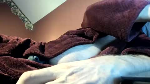 Doug online show from 11.16.25