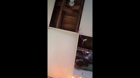 dukenbettykinks online show from 04.17.26