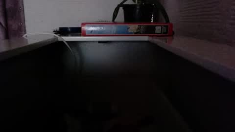 dulce_smith02 online show from 11.24.25