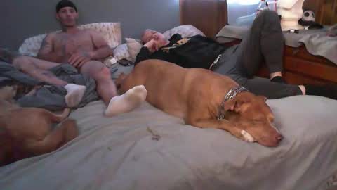 dustinwyant1983 online show from 11.08.25