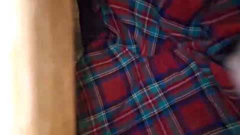 dVe1oPe online show from 03.21.26