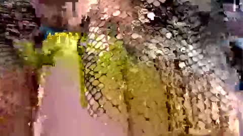 Snapshot of dwadek081704 chatting on 09.19.25 dwadek081704 online show from 09.19.25