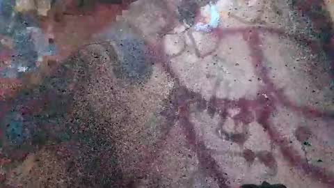 Snapshot of dwadek081704 chatting on 11.02.25 dwadek081704 online show from 11.02.25