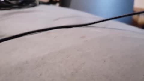 ted online show from 01.18.26